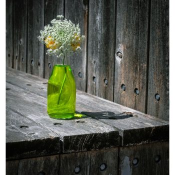 Plante coupée et planches délavées