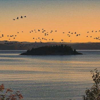 456764A9-11B4-4351-BBAA-922B07DDAB89