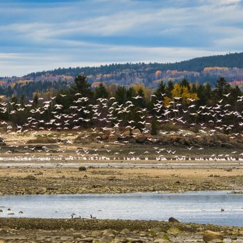 att.V4kXNpo0iowlred5iLKmUGm3dnJaMWJh7xdkk148VZ0