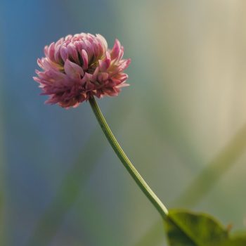 att.sODB-KxuLrh5-ny7TkWPzohlzKQfCL3kQ-6sWpDFo28